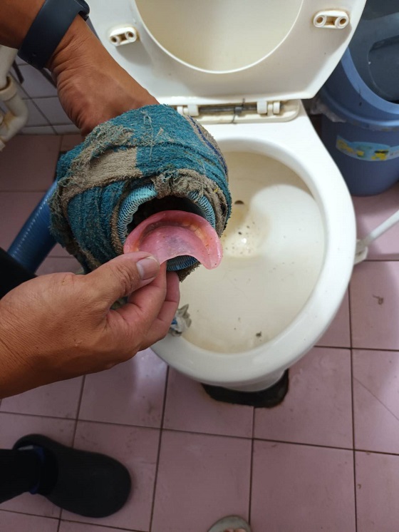 �x�n���ưϳq����