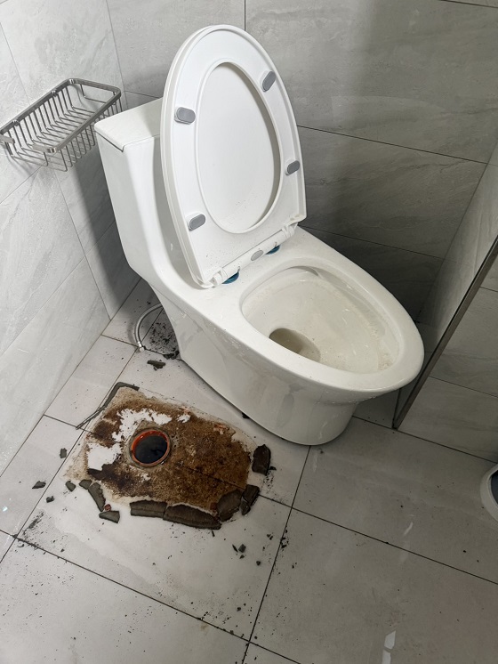 �x�n�ñd�ϳq����