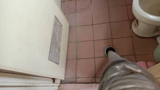 �s�ƲM�z���T�������