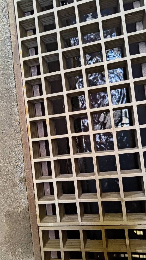 �s������βM�B�T��